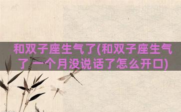 和双子座生气了(和双子座生气了 一个月没说话了怎么开口)